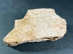 Hadrosaur Bone, from Lance Creek Formation, Weston County, Wyoming, U.S.A. (REF:HDB9)