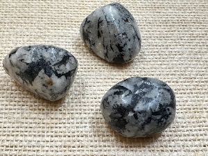 Chrysanthemum Stone - 5g to 10g Tumbled Stone (Selected)