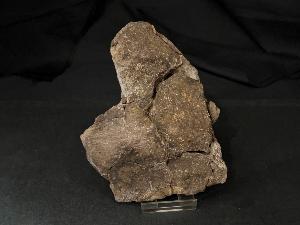 Iguanodon Bone, from Isle Of Wight, U.K. (REF:IBD2)