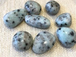 Jasper - Kiwi - 5g  to 10g Tumbled Stone (Selected)    