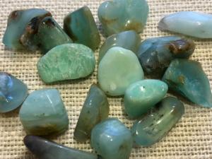 Chrysoprase - 1.5g to 3g Light Tumbled Stone (Selected)