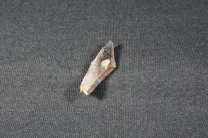 Tyrannosaurus Rex Tooth Fragment, from Hell Creek Formation, Eastern Montana, USA (REF:TREX29)