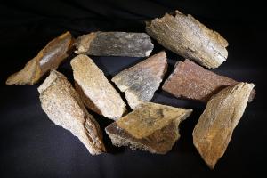 Mammoth Bone Fragments, from North Sea Area, Ice Age (12) (Selected)