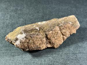 Triceratops Bone Fragment, Lance Creek Formation, Weston Co. Wyoming, USA (REF:TRIT7)