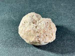 Fossil Sea Sponge, from Morocco (SPO7)