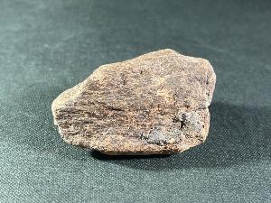 Tyrannosaurus Rex Bone Fragment, from Hell Creek Formation, Eastern Montana, U.S.A. (REF:TREX34)