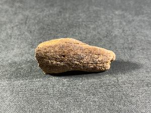 Edmontosaurus Bone, from Hells Creek, Montana, U.S.A. (REF:EDMON3)