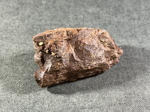Tyrannosaurus Rex (T.Rex) Bone Fragment, from Hell Creek Formation, Eastern Montana, USA (REF:TREX51)