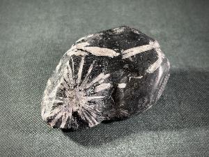 Chrysanthemum Stone (REF:CHRYST10)