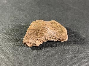 Tyrannosaurus Rex Bone Fragment, from Hell Creek Formation, Eastern Montana, U.S.A. (REF:TREX42)