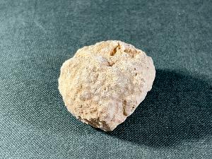 Fossil Sea Sponge, from Morocco (SPO5)