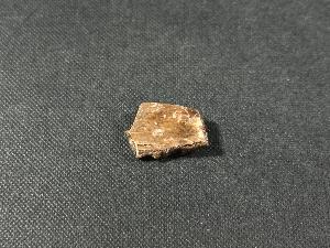 Tyrannosaurus Rex (T.Rex) Bone Fragment, from Hell Creek Formation, Eastern Montana, USA (REF:TREX69)